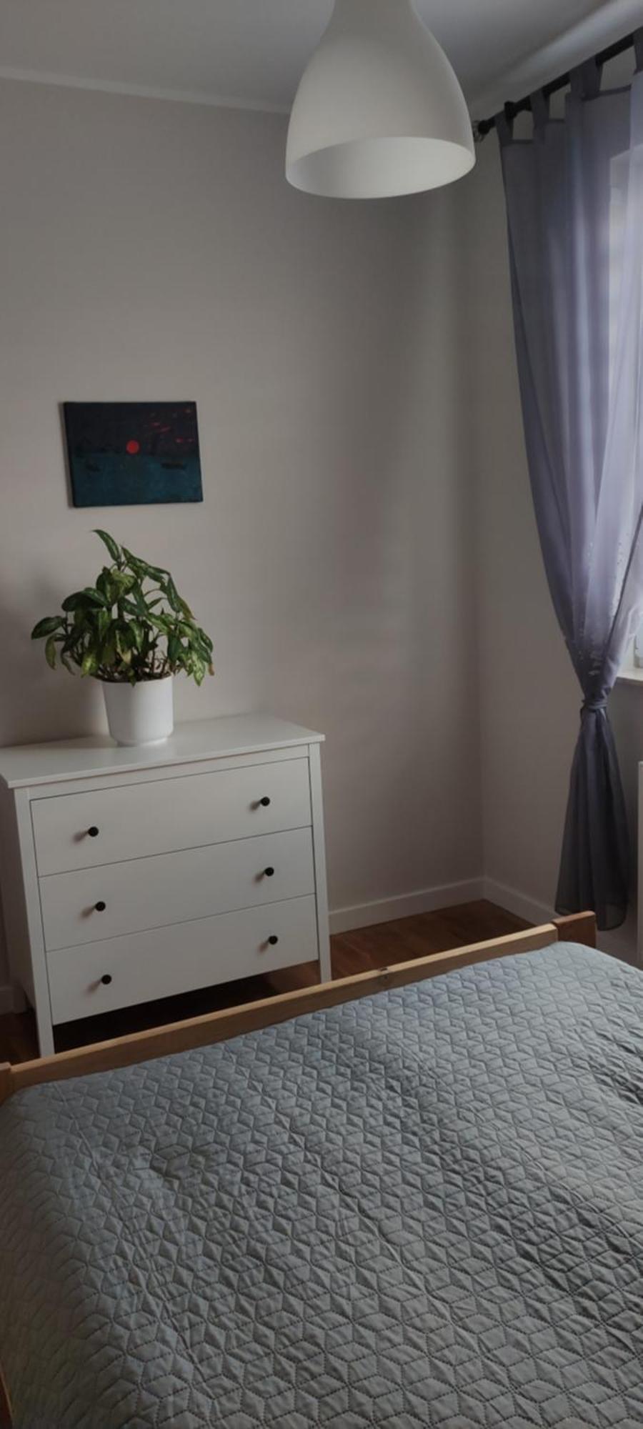 Apartament Zielone Zamienie Extérieur photo