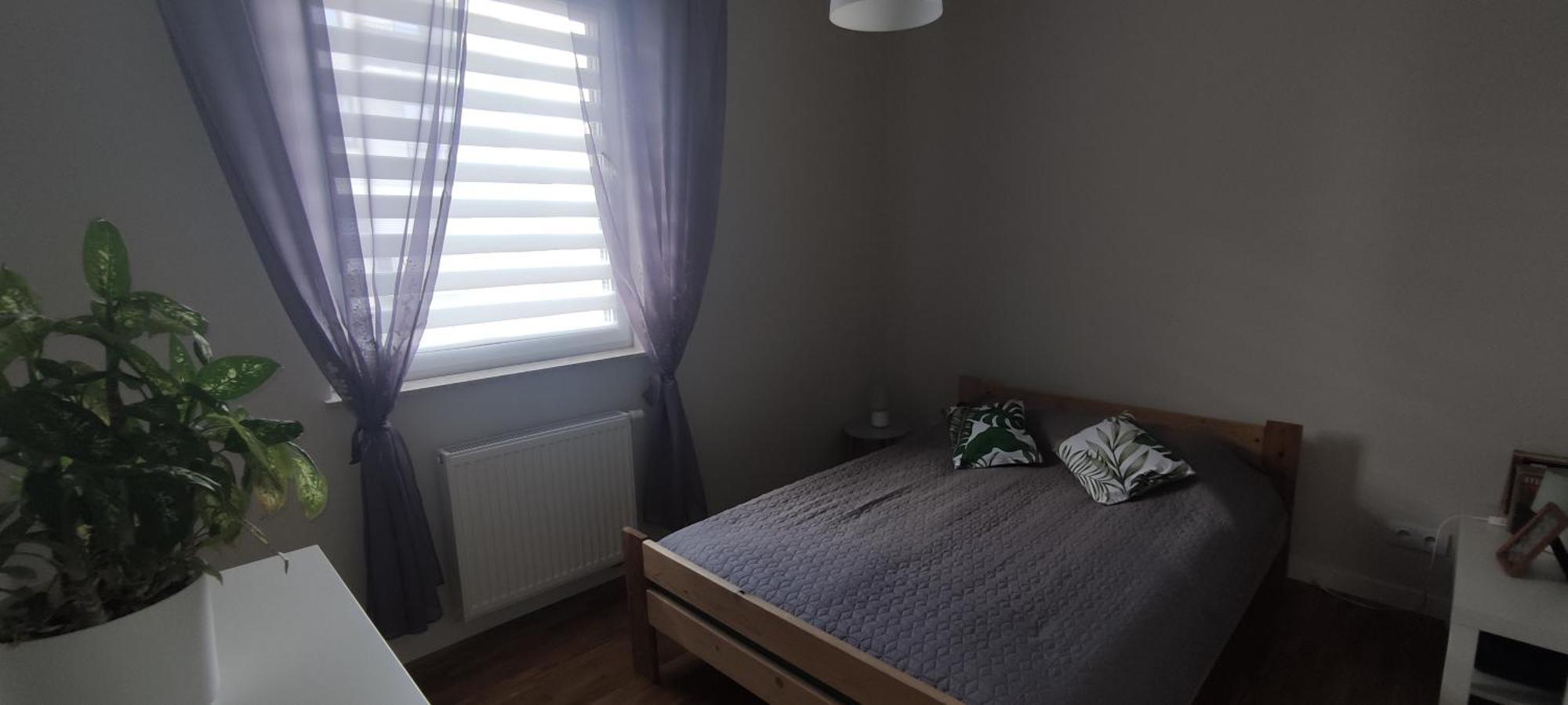 Apartament Zielone Zamienie Extérieur photo